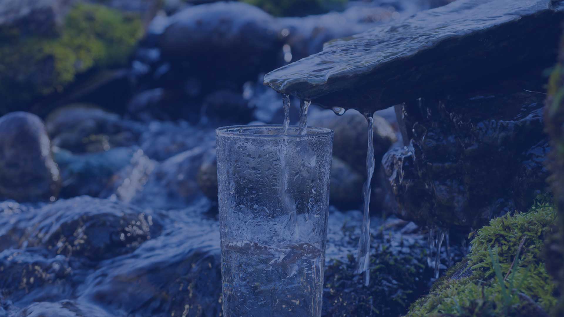 Purificadores de Agua